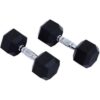 Hexagon Rubber Coated Pure Iron Fixed Weight Lifting Dumbbell Pair Of 10kg